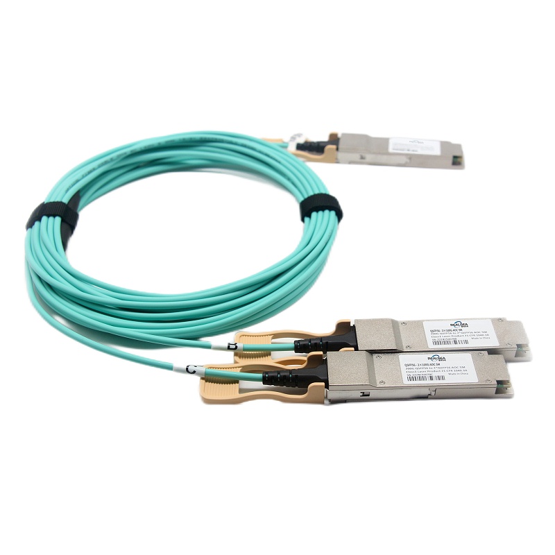2x100G AOC